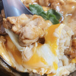 鳥めし 鳥藤分店 - 親子丼 モツ入り