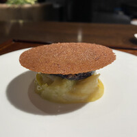 デンクシフロリ - 