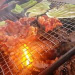 らくだ山 地鶏の店 - 