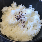 Kaisen Washoku Sakana Mamire Nakanaka - 白飯