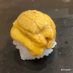 小判寿司 - ムラサキ海胆