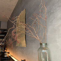 寿司 なかご 別邸 -  寿司 なかご 別邸 -