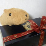 16755438 - プレゼント用のリボン♪