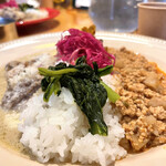 ボンズ クラウネル - 