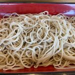 そば処 大和 - 少なめの麺のアップ