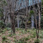 アマン東京 - 大手町の森
