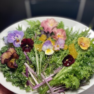 無農薬、自然栽培のお野菜を栄養を逃がさない調理法で提供