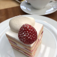 フィオレンティーナ -  フィオレンティーナ -