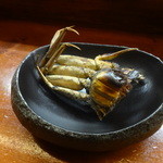 馳走　ヒフミ - 雌のズワイガニ