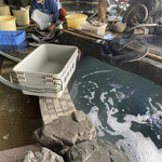 活魚料理 びんび家 - 