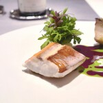 ASAHINA Gastronome - 赤矢柄