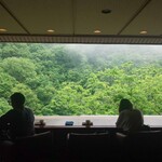 藤井荘 - 緑の絶景に癒される