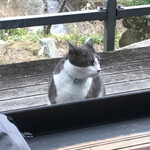 隠れ屋敷 典膳 - 