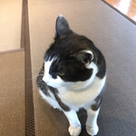 隠れ屋敷 典膳 - 