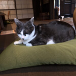 隠れ屋敷 典膳 - 