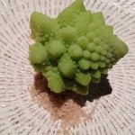 本町金六 - カリブロ　ロマネスコ　藻塩でいただき！