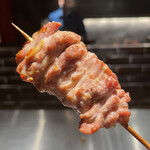 YAKITORI 燃 es - 姫っ子地鶏セセリ