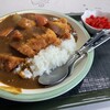 田園 - カツカレー