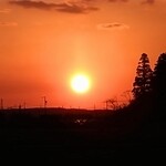 タイ料理 メーパオ - 