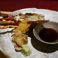 日本を食す 引算 - 「伊勢海老のお刺身」