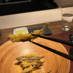 イル アオヤマ - 