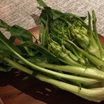 ジューダバレリーノ - ｲﾀﾘｱのお野菜(ﾌﾟﾝﾀﾗｯﾀ)