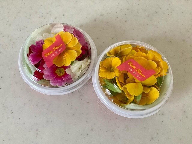 MOCO（モコ） - 苫小牧（カフェ）の写真