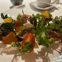 レフェルヴェソンス - 