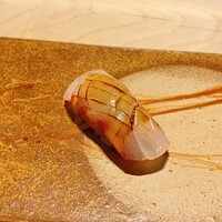 鮨 銀座 おのでら - 