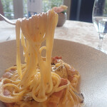 リストランテ 錦ケ丘 - きのこはポルチーニのみで塊もあり、ブルーチーズ系の味わいもあるソースにパスタがからんですばらしいミャ