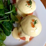 ヨーキーズブランチ - 