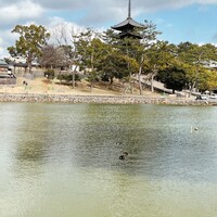 おか田 - 