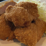 Torikichi - 肉がゴロゴロ