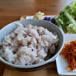 Terra - 雑穀米ごはん