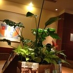 ドトールコーヒーショップ 羽村店 - 喫煙席、落ち着く空間です☆