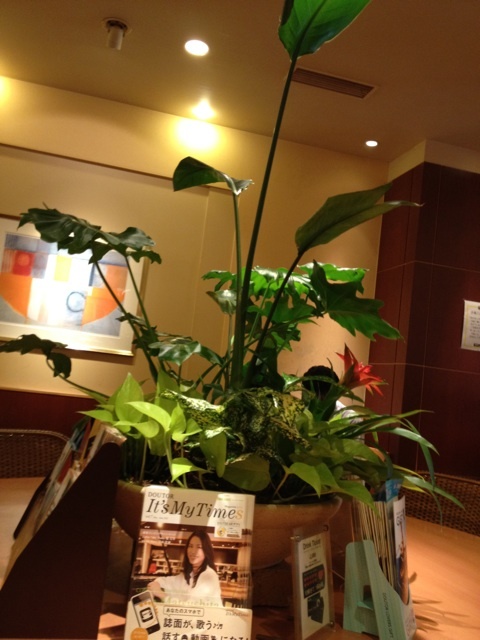 Doutor Coffee Shop Hamura Ten photo 4