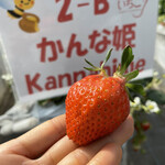 姫路ハートフル観光農園 - 