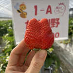 姫路ハートフル観光農園 - 