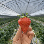 姫路ハートフル観光農園 - 