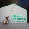 DOG CAFE PAWRENTIME