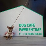 DOG CAFE PAWRENTIME - 