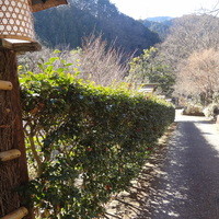 黒茶屋 - 