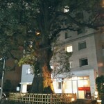 クリマ ディ トスカーナ - 