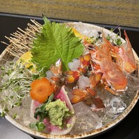 車海老の刺身-Shrimp sashimi "Ebi sashi"