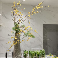 Maison DIA Mizuguchi - 