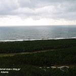 フェニックス・シーガイア・オーシャン・タワー - 