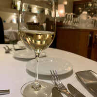 アマルフィイ・モデルナ - 