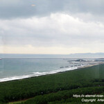 フェニックス・シーガイア・オーシャン・タワー - 