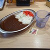 ミスターカレー - 