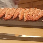 鮨 しゅん輔 - 車海老